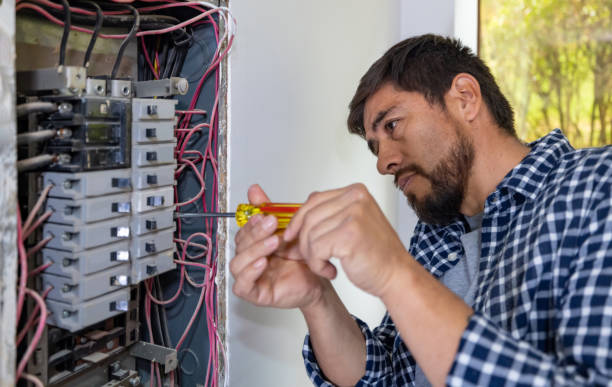 Best Electric Panel Repair  in Great Neck Plaza, NY